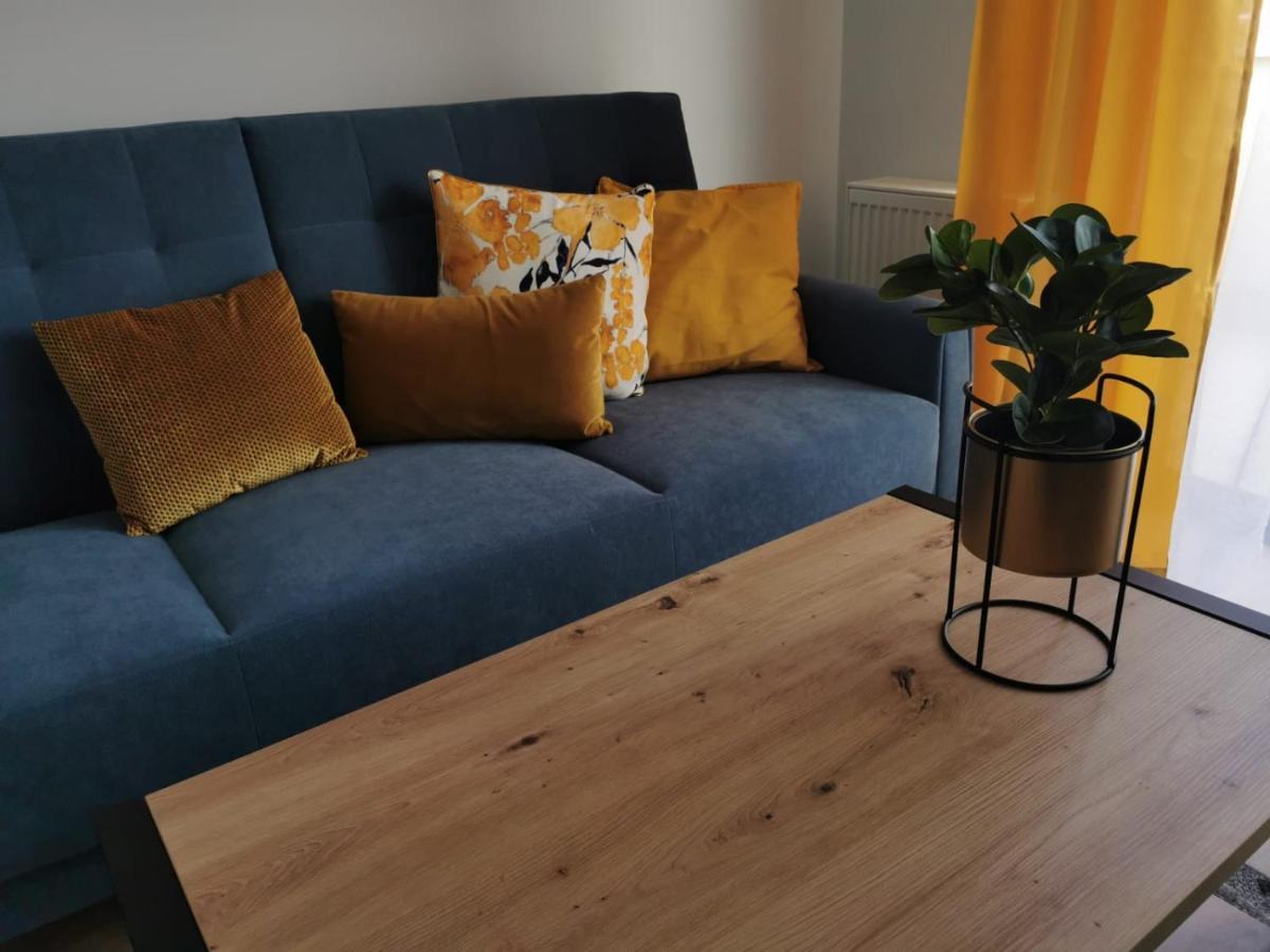 Apartament Zofia 2 Przy Plazy วาดีสวาโวโว ภายนอก รูปภาพ